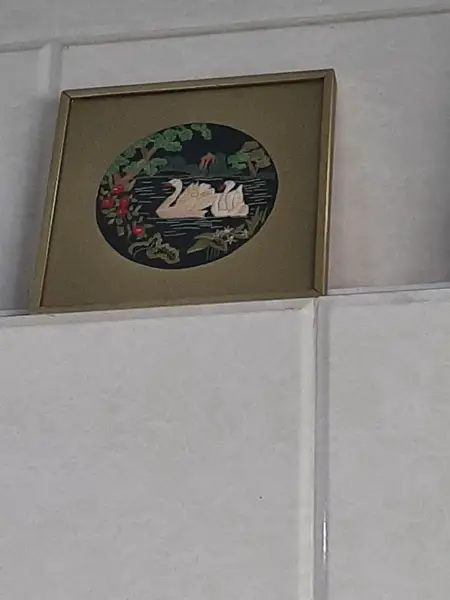  کافی پلاس