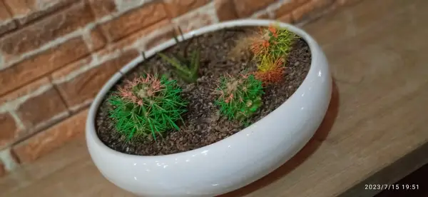  کافه دژاوو