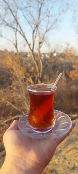  استراحتگاه کوهساران