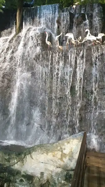  رستوران کوروش ابرده