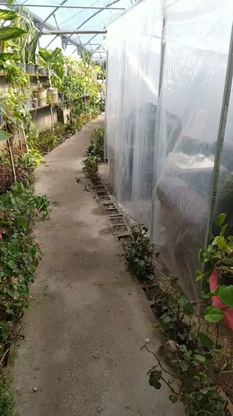  سفره خانه باغ سیکاس