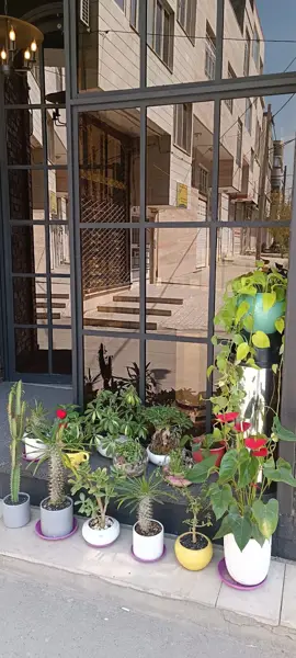  کافه کتاب کاژه