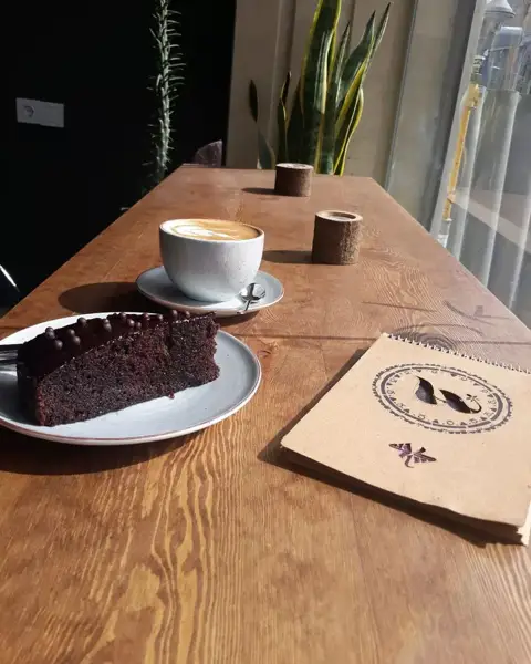  Cafe willow