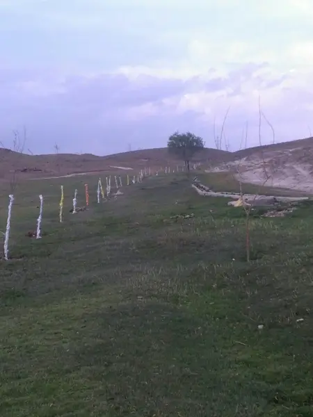  پارک کوره بلاغ