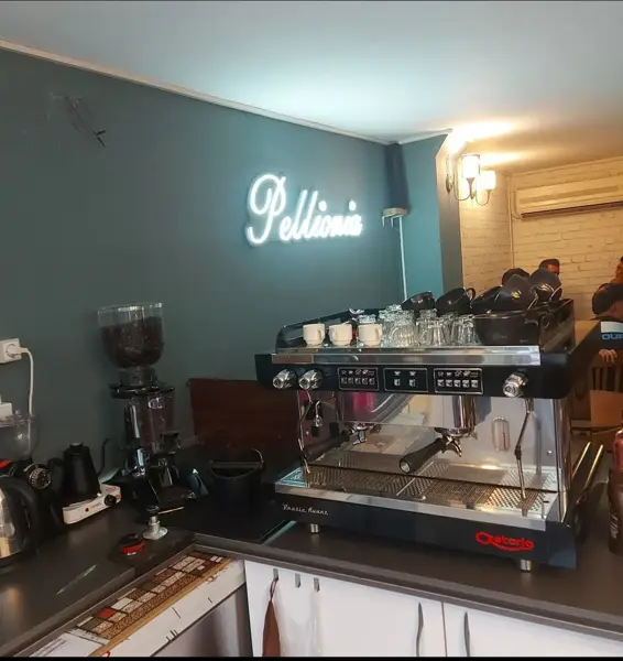 Pellionia café. کافه پلونیا