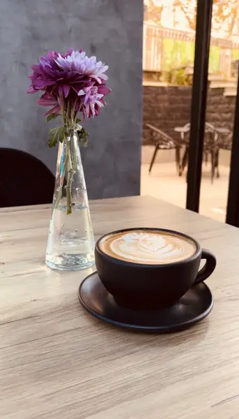  Tozhalcoffee