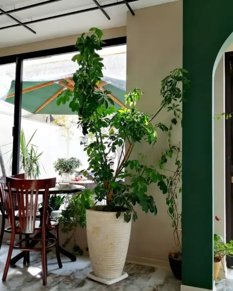 کافه کتاب بی‌خوابی