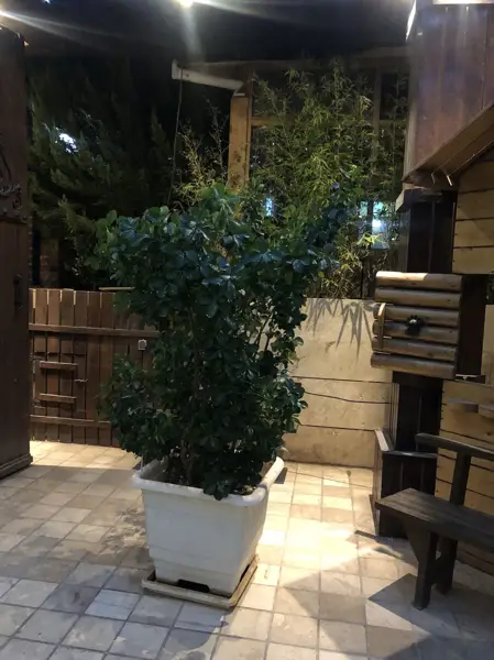  رستوران الماس کویر