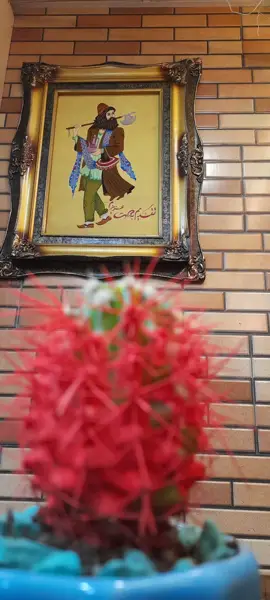  قهوه مانی