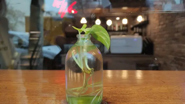  Deniz Cafe