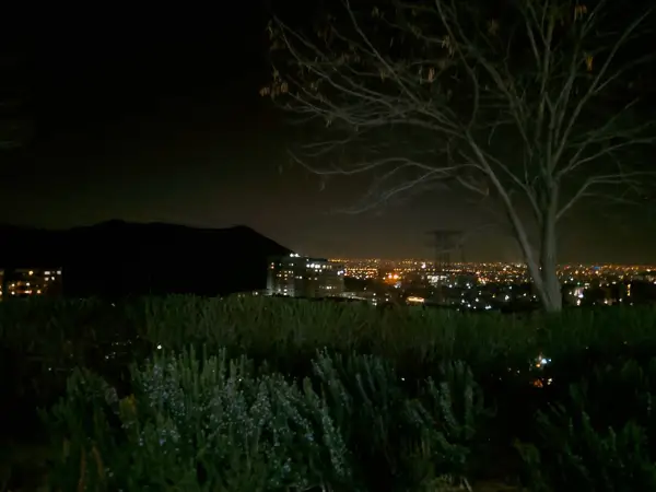  کافه کنت اند کنتس