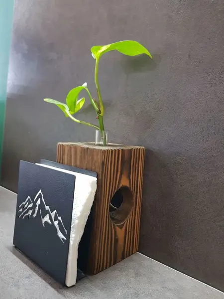  Cafe Fandy