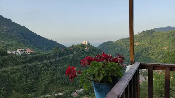 کافه تورنگ