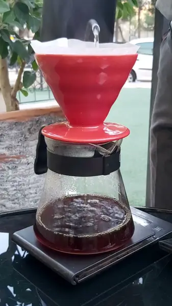  کافه مادو