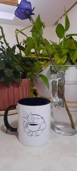  Café Spa hese khoshe zendegi