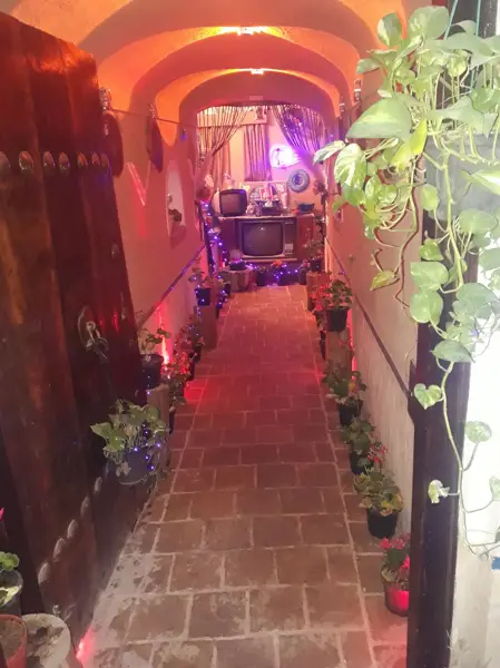 کافه طوبی