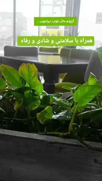  فست فود دایا - بلوار توس