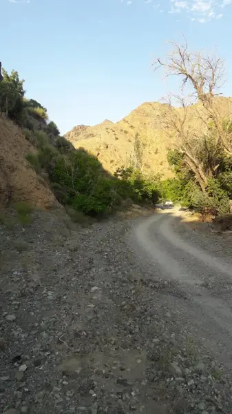  تنوری