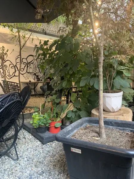  Ordibehesht Cafe