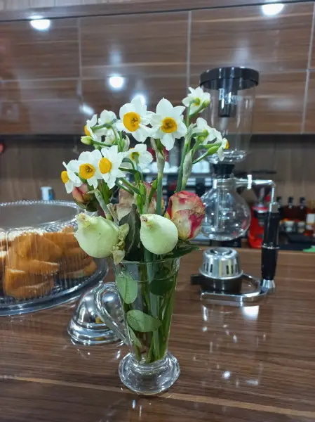  کافی شاپ شاه بلوط