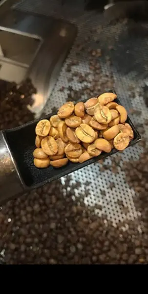  کافه کندو