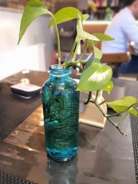  کافی شاپ نیکان