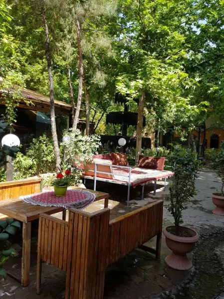سپیدار