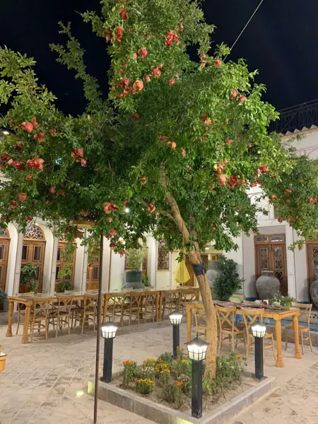  کافه بولونی