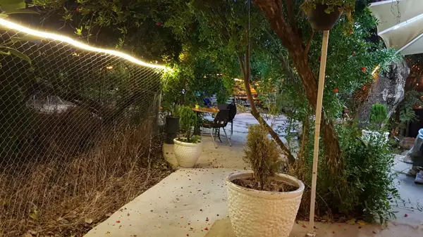  باغ دنج
