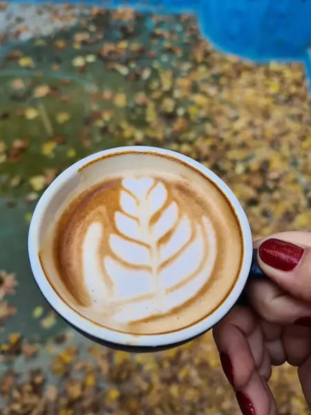  Mugscafe