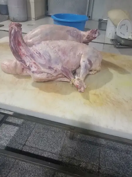  کافه رستوران فرهاد