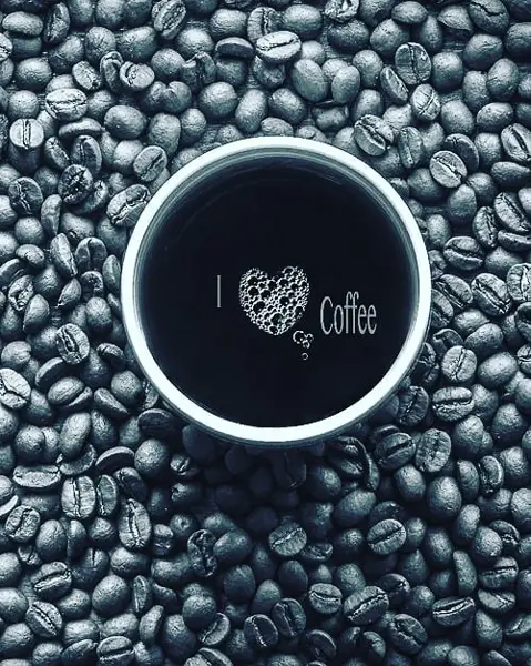  Cafe cactus