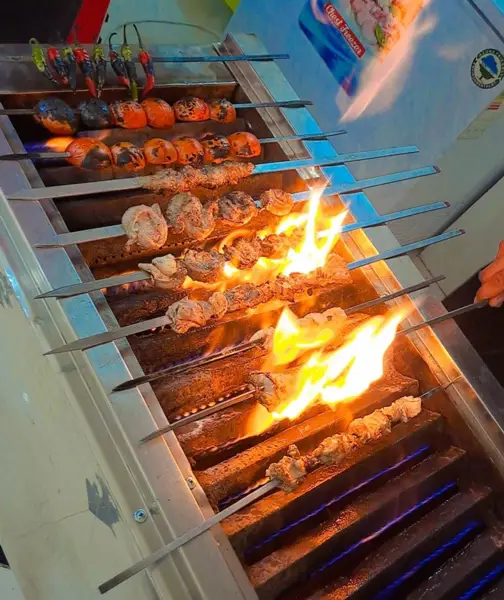  طباخی و جگرکی پاشا
