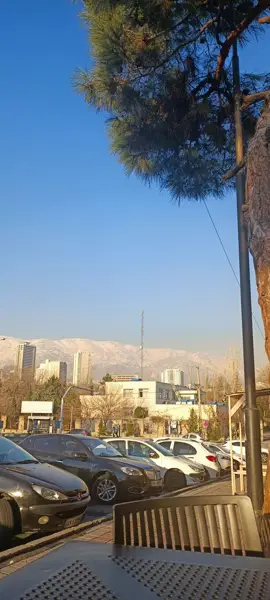  کافه نوژ