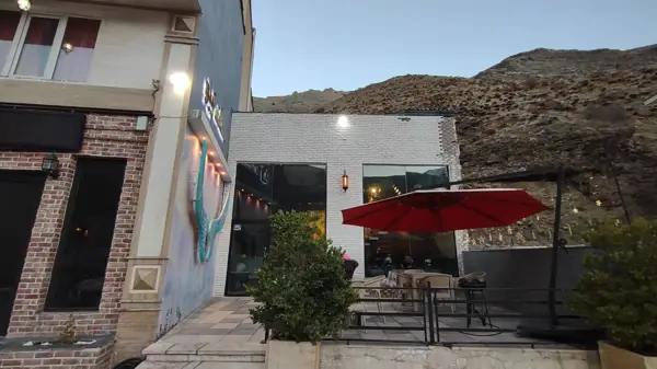  کافه زینو