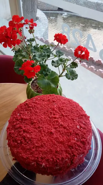  کافه شمعدونی