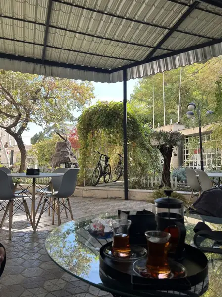 Armadillo.cafe کافه آرمادیلو