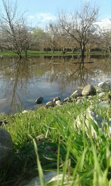  کافه داریوش