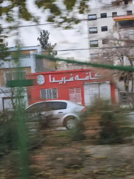 کافه فریدا