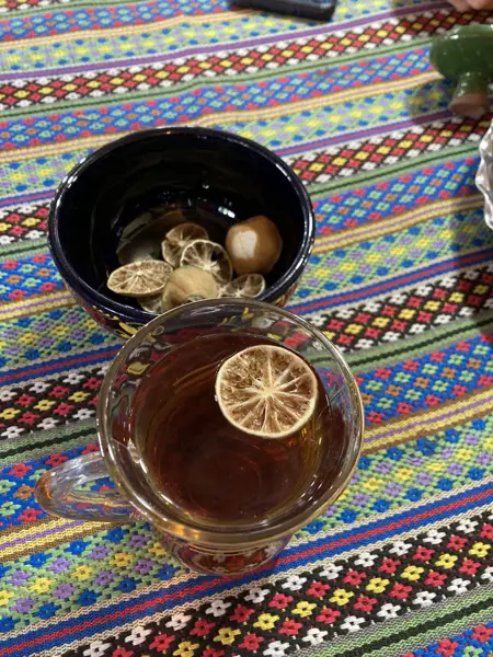  چایخانه همیشه بهار