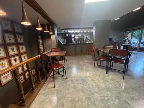  بابل