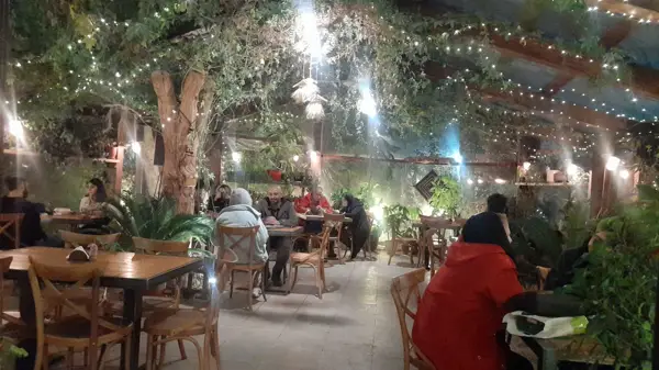 کافه بید مجنون