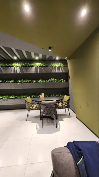 cafe viuna کافه ویونا