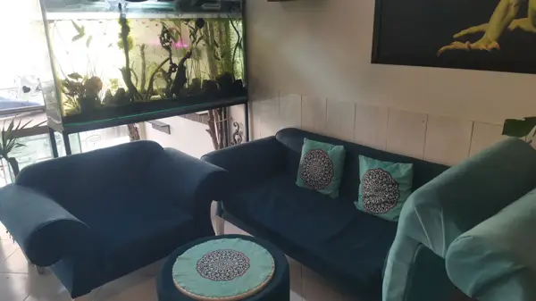  Cafe Terrarium ghatre