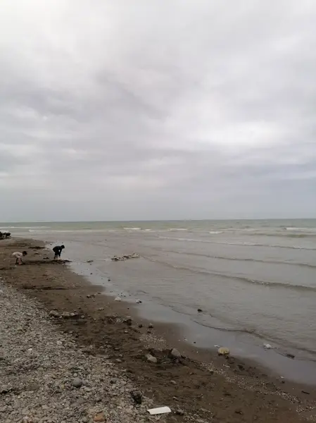  کافه رستوران بهشت گمشده