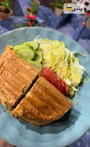  خونه باغ آتا