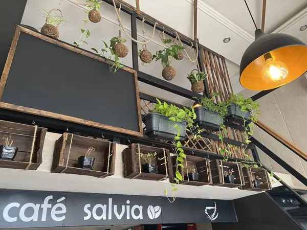 Cafe.salvia