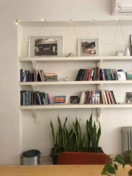  کاژه سنایی