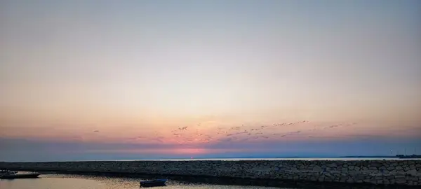 کافه فست فود دفار