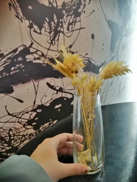  کافه گندم